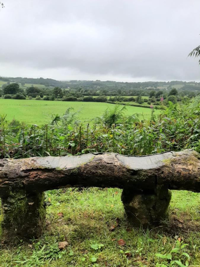 Appartamento Y Smithy Llanybyther Esterno foto
